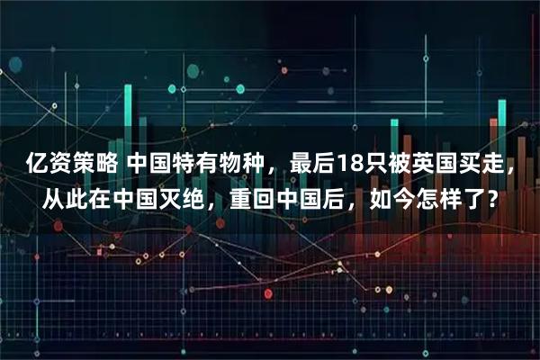 亿资策略 中国特有物种，最后18只被英国买走，从此在中国灭绝，重回中国后，如今怎样了？