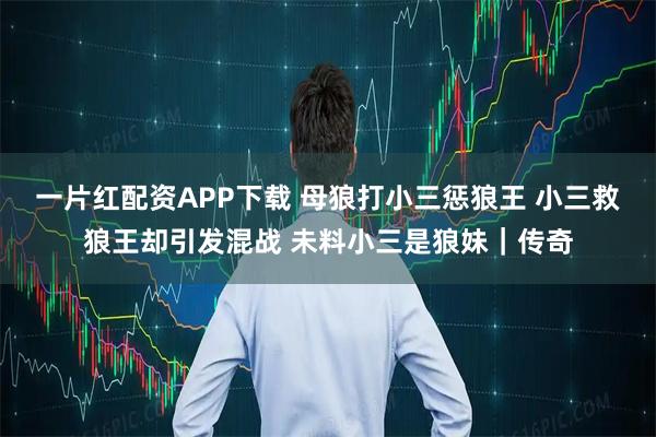 一片红配资APP下载 母狼打小三惩狼王 小三救狼王却引发混战 未料小三是狼妹|传奇