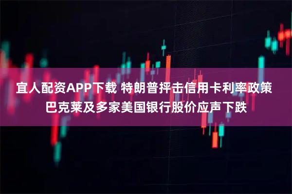 宜人配资APP下载 特朗普抨击信用卡利率政策 巴克莱及多家美国银行股价应声下跌