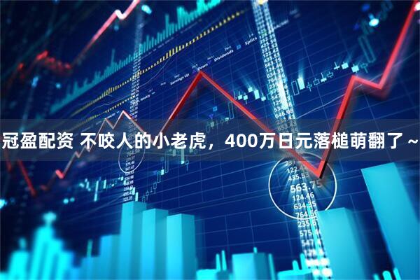 冠盈配资 不咬人的小老虎，400万日元落槌萌翻了～