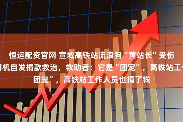 恒运配资官网 宣城高铁站流浪狗“黄站长”受伤，多位出租车司机自发捐款救治，救助者：它是“团宠”，高铁站工作人员也捐了钱